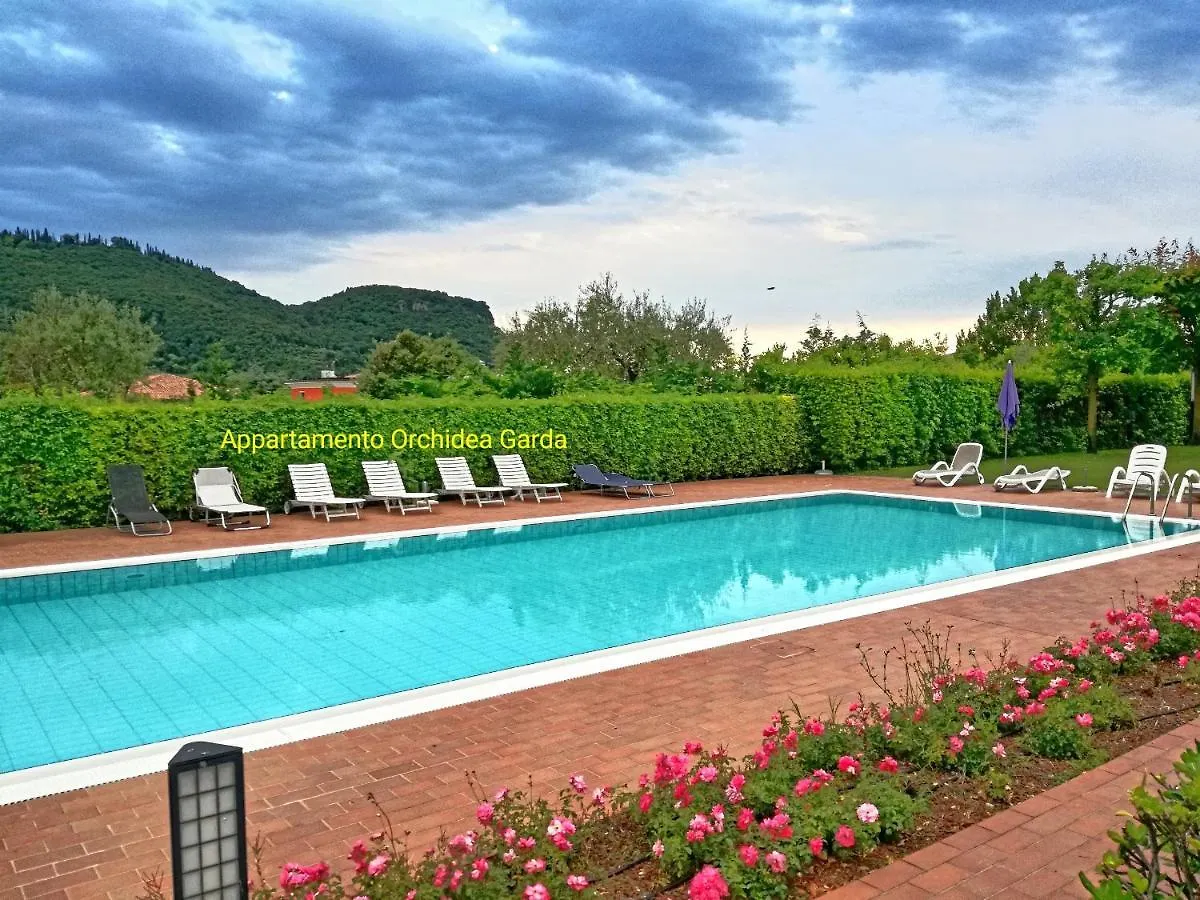 Appartamento Orchidea Garda Garda  Garda (Verona)